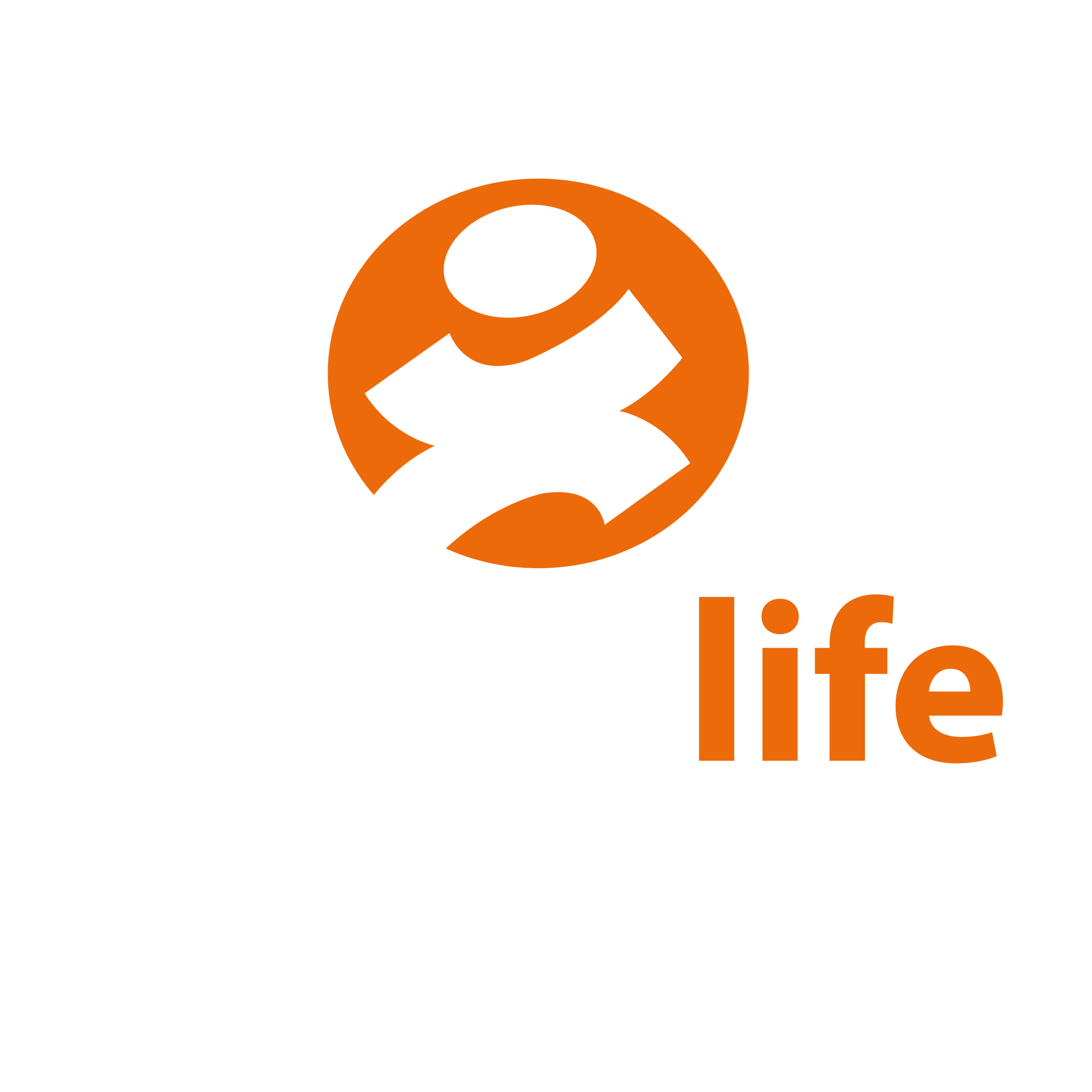 Active life